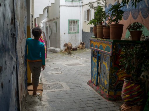 Eid al Adha – Festival of Sacrifice