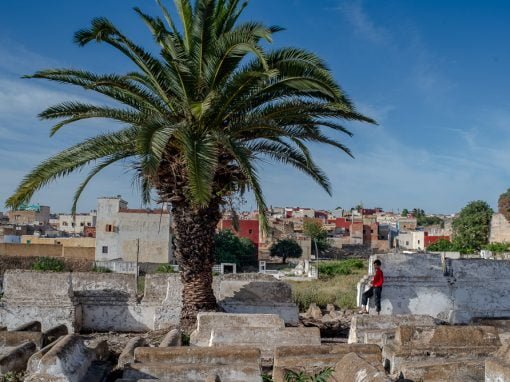 A Tale of Harira in Meknes