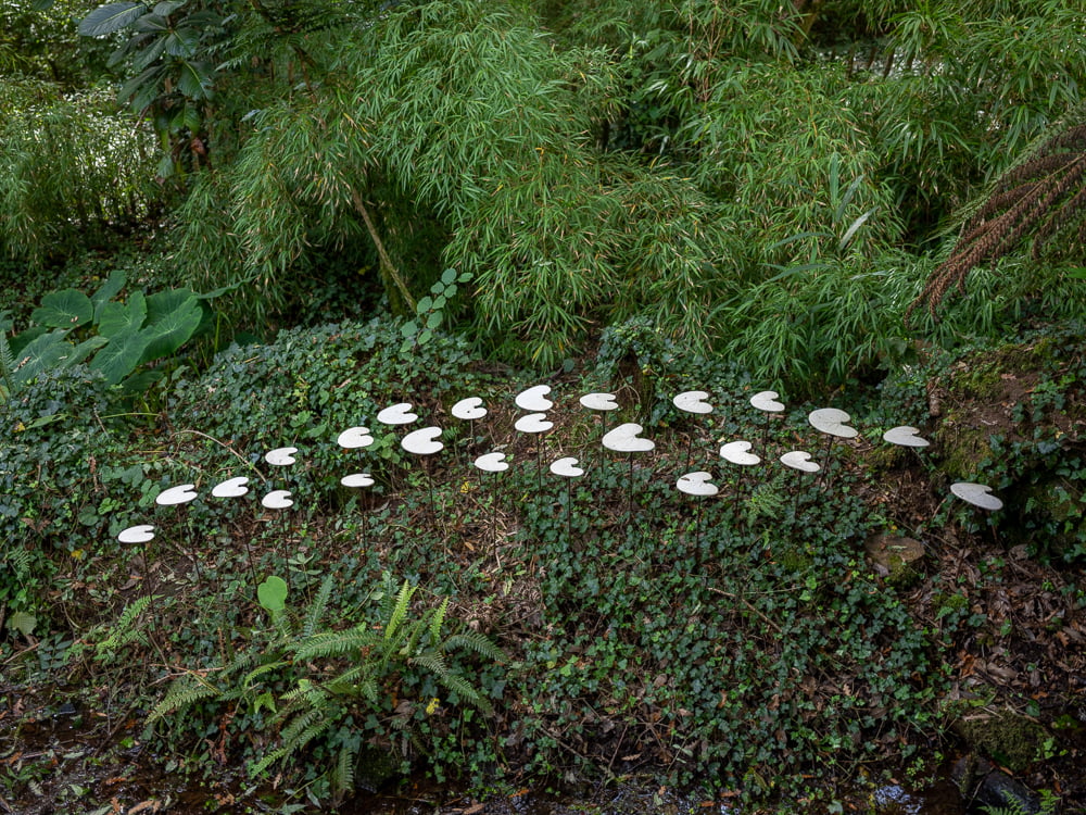 Tremenheere Sculpture Gardens