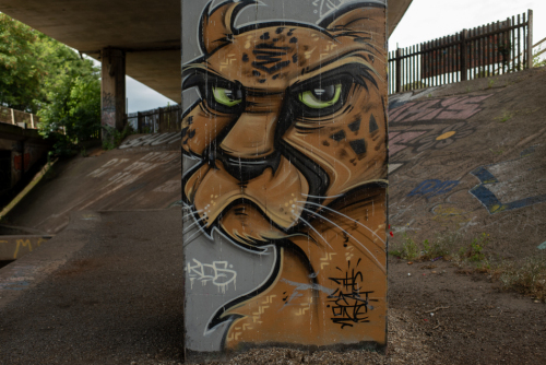 M32 Skateboard Park  20240706__DSC1766-1