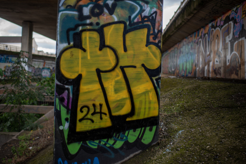 M32 Skateboard Park  20240706__DSC1806-1