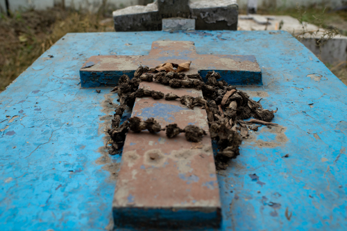 Hindu-Christian-Cemetery-Delhi-9079