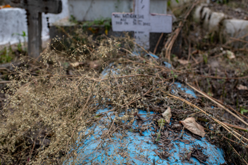 Hindu-Christian-Cemetery-Delhi-9085