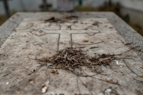 Hindu-Christian-Cemetery-Delhi-9099