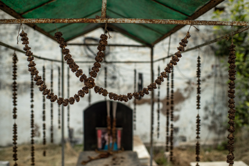 Hindu-Christian-Cemetery-Delhi-9109