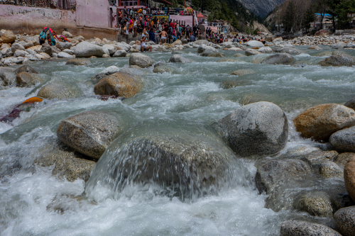 Gangotri-4101