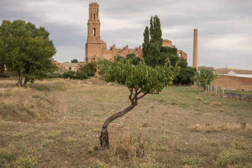 Old Belchite-203