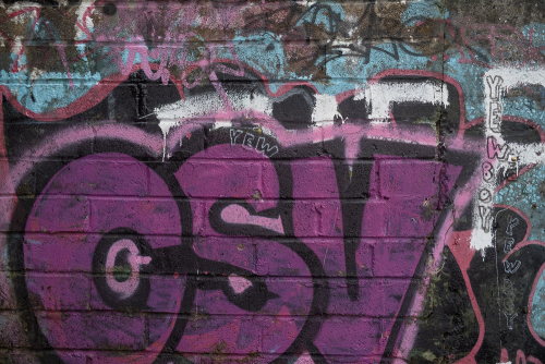 DSC7902