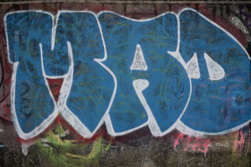 DSC7912