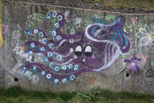 DSC7921