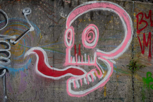 DSC7926