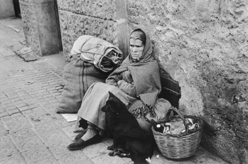 SPAIN. Spanish Civil War (1936-9)
ICP 292 Barcelona. January, 1939. At a refugee transit center during the evacuation of the city, which was heavily bombed by fascist planes, as General Franco's fascist troops rapidly approached.