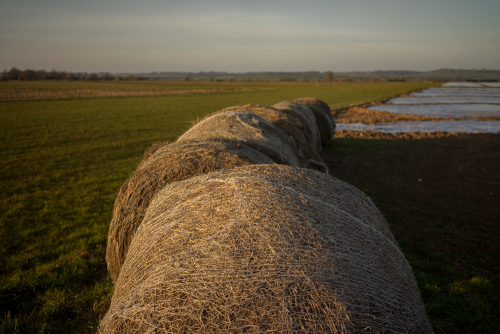 Weston Zoyland Airfield-7