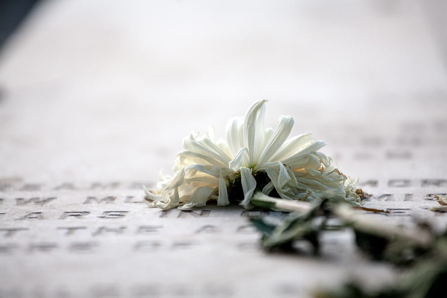 ‘There and Back Again’