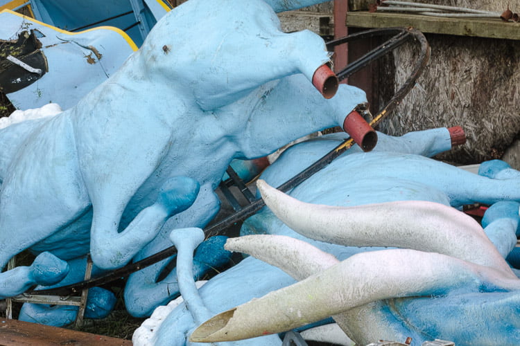 Remnants of Carnival