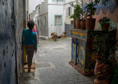 Eid al Adha – Festival of Sacrifice