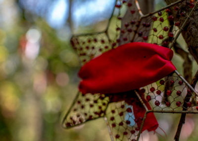 Moons Reflecting Light