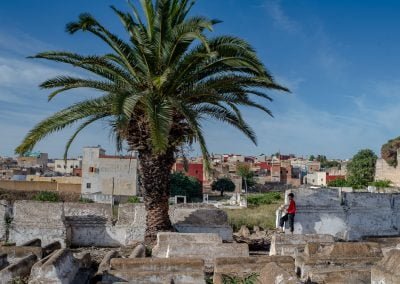 A Tale of Harira in Meknes