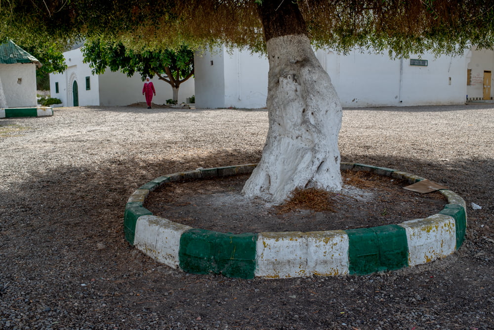 The Sufi Shrines of Ouezzane