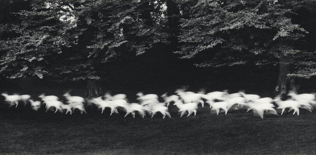 Running White Deer Revisited   :   Caponigro’s Megaliths