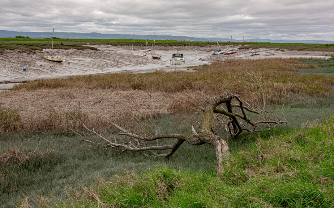 Muddy Waters  :  the River Brue Estuary