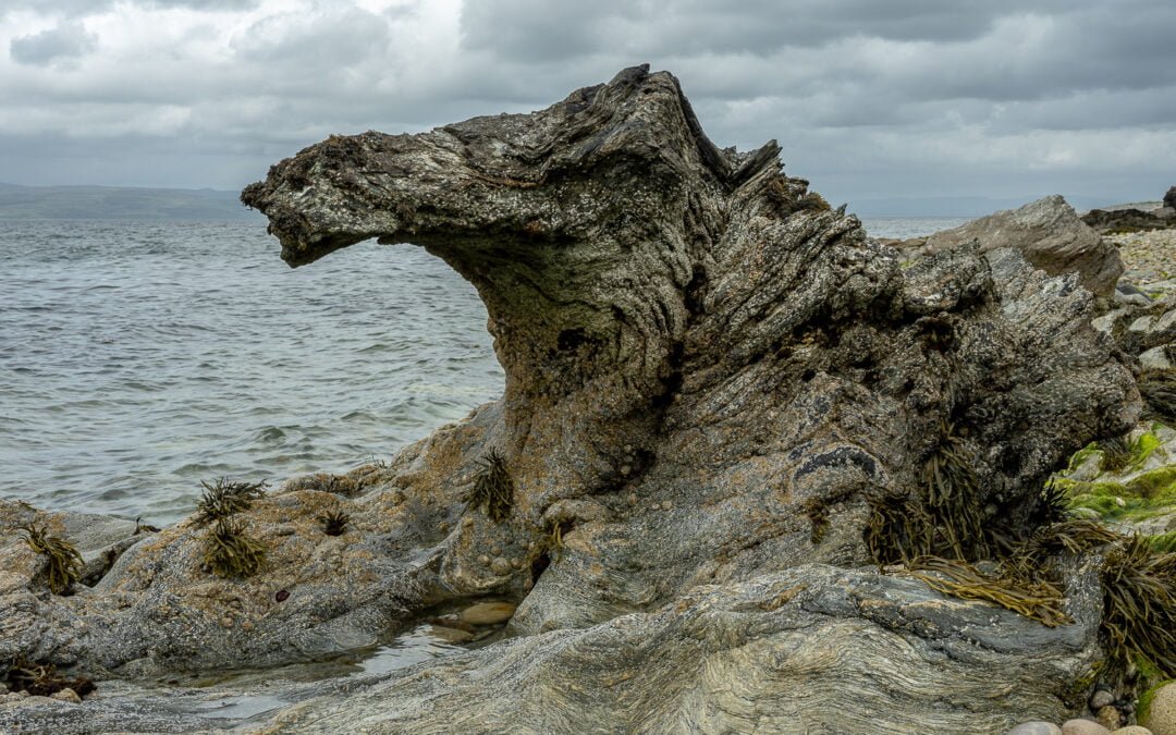 Reversal to Lochranza