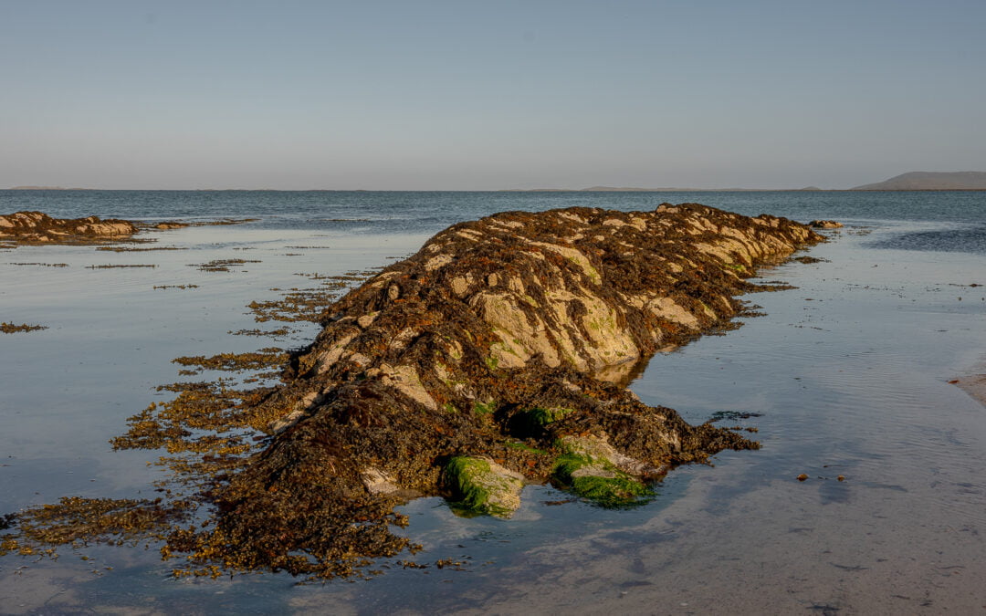 Colour Amidst the Monochrome