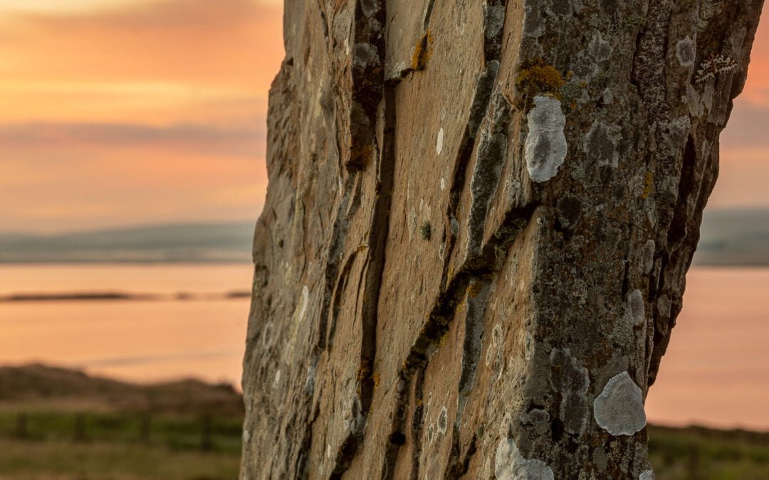 The Great Stone Project 2022