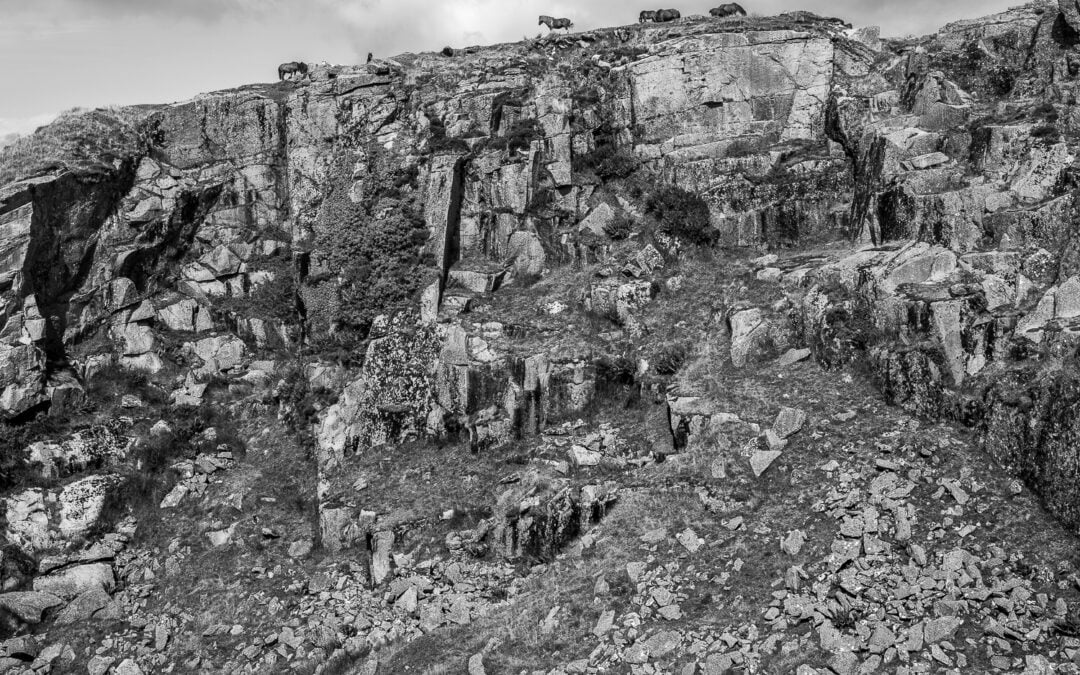 Dartmoor   :  A Landscape of Occupation