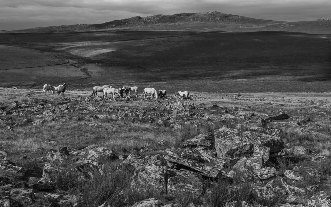 Leskernick   :   Bodmin’s Neolithic Art Installation
