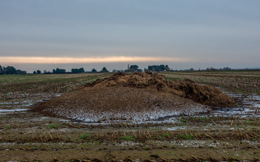 Weston Zoyland Aerodrome Revisited
